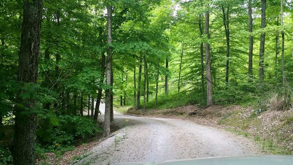 7000 Boyd Rd, Cannelton, IN 47520 photo 8