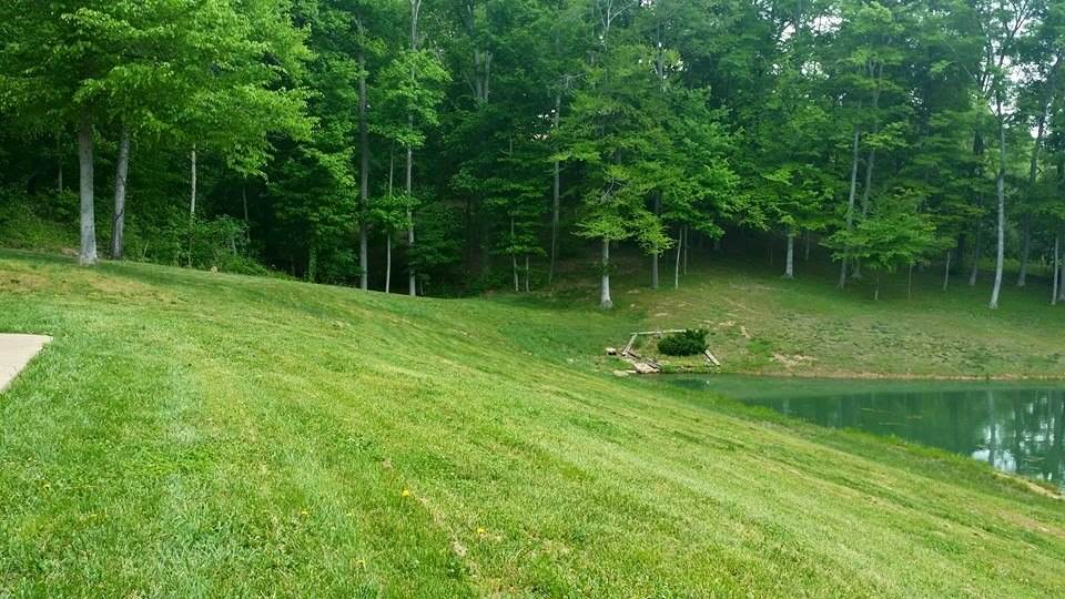 7000 Boyd Rd, Cannelton, IN 47520 photo 9
