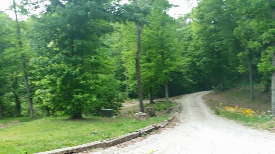 7000 Boyd Rd, Cannelton, IN 47520 photo 10