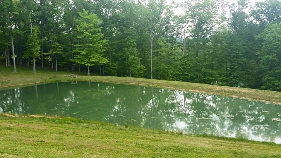 7000 Boyd Rd, Cannelton, IN 47520 photo 7