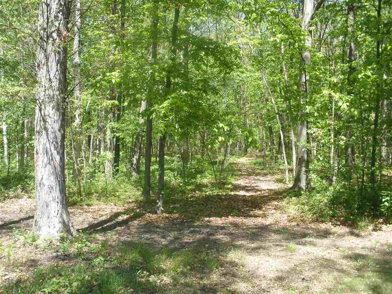 3431 County Road 60, Auburn, IN 46706 photo 21