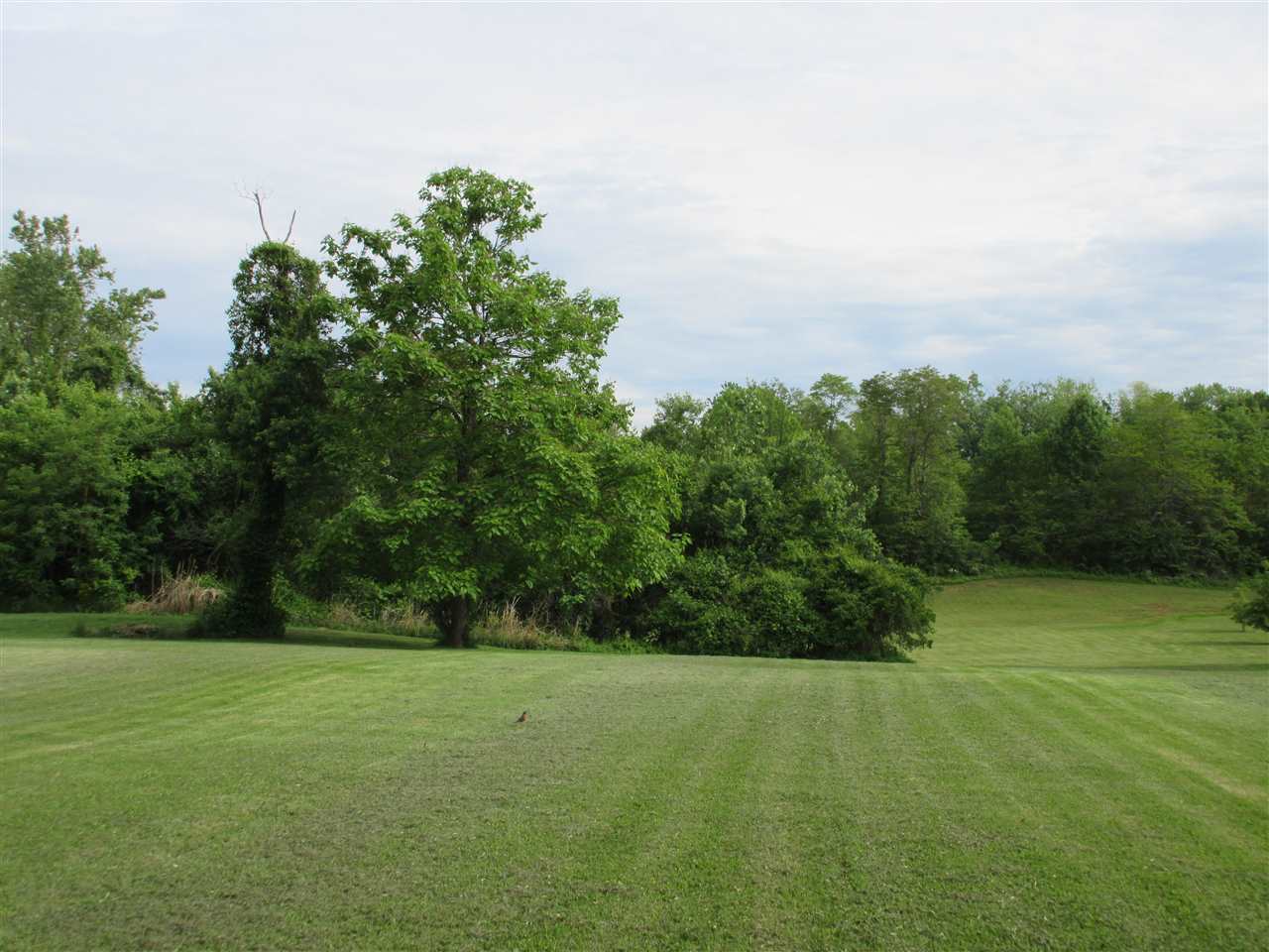 2111 33rd St, Bedford, IN 47421 photo 19