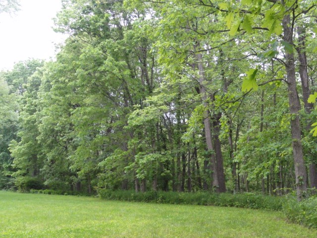 5553 S 500 W, Rossville, IN 46065 photo 4