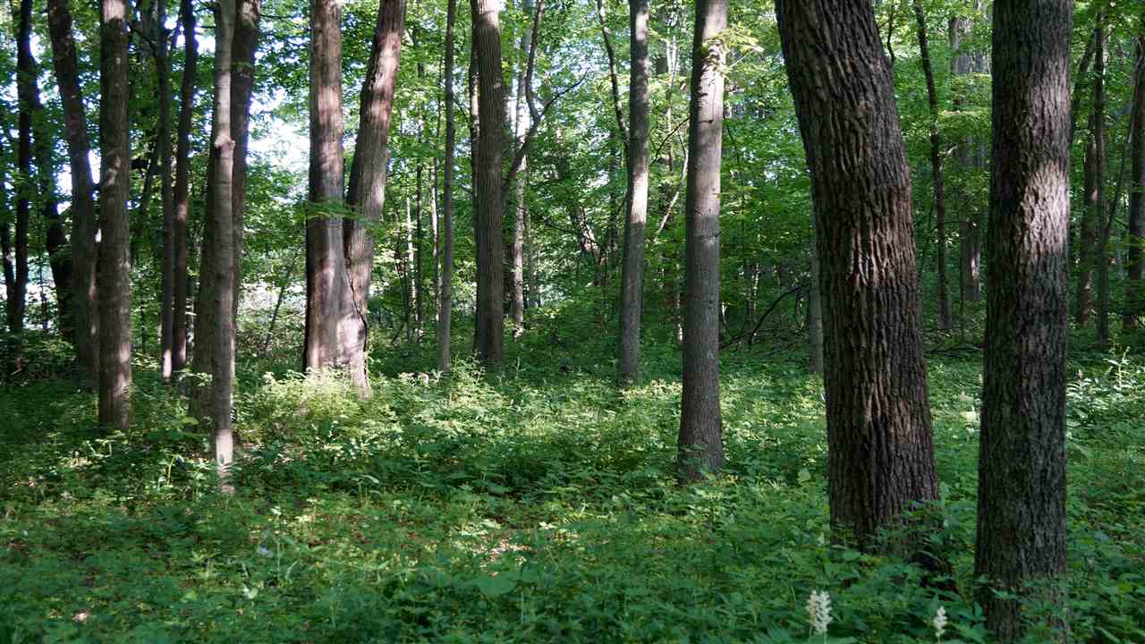 604 N County Line Rd E, Lafayette, IN 47905 photo 28