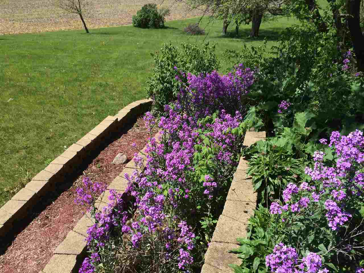 9056 N Waldron Rd, Rossville, IN 46065 photo 28