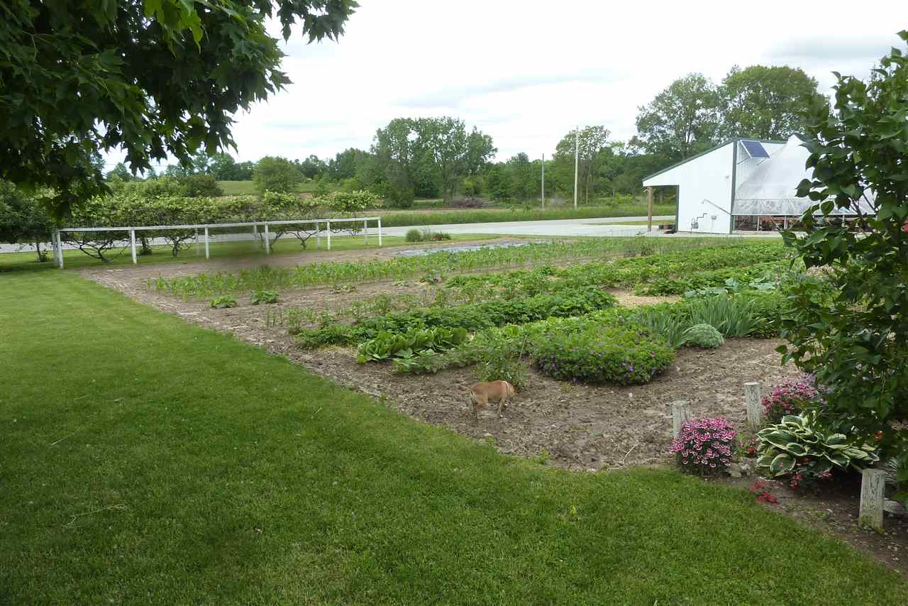 1069 E 1500 N, Akron, IN 46910 photo 25