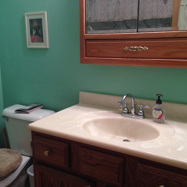 411 Vice Blvd, Avilla, IN 46710 photo 10