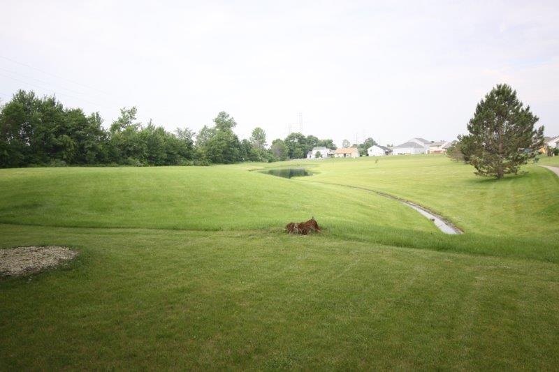 9321 Bridgewood Pl, Fort Wayne, IN 46835 photo 4