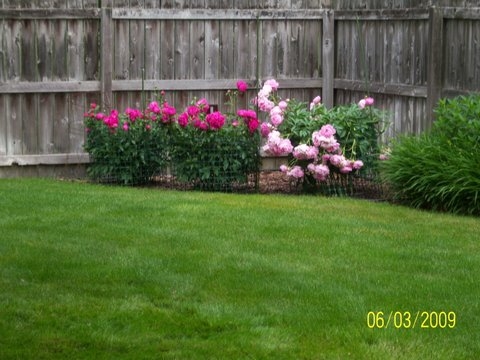 51189 W Brandychase, Granger, IN 46530 photo 24