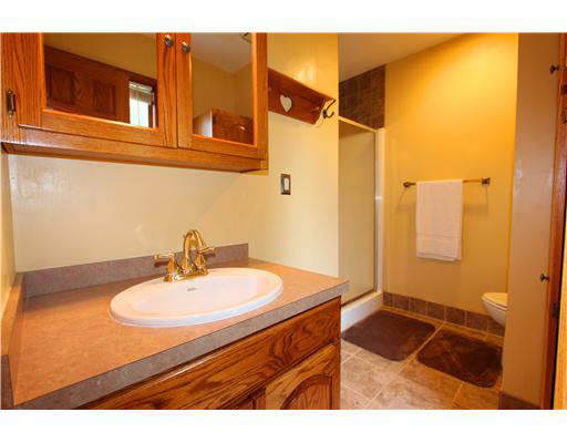 13540 Old Creek Ct, Mishawaka, IN 46545 photo 12