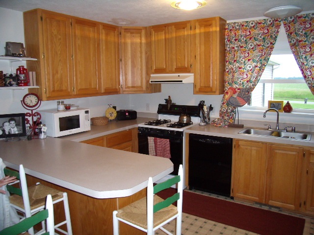 1920 W 500 S, Pleasant Lake, IN 46779 photo 5