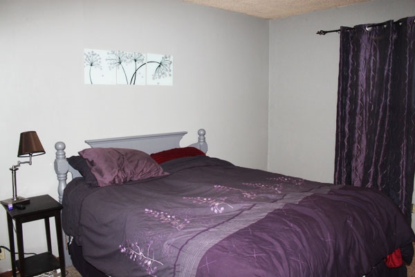 707 W Ensley Ave, Auburn, IN 46706 photo 5