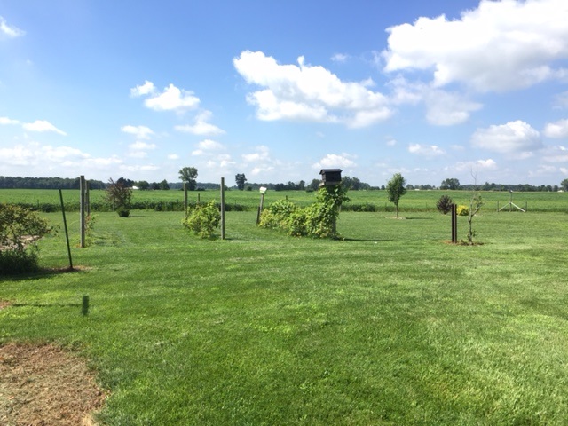 4384 E 550 S, Bluffton, IN 46714 photo 24