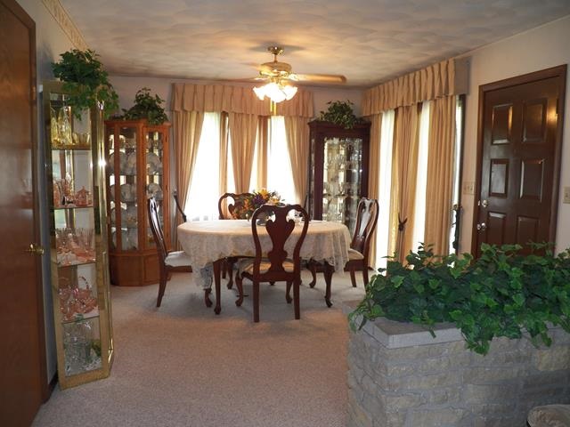 501 E Spring St, Middlebury, IN 46540 photo 8