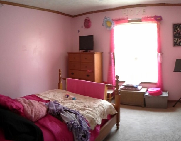 2672 E Catt Rd, Decker, IN 47524 photo 4