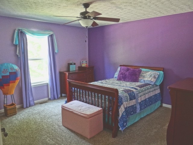 3221 Trego Ct, West Lafayette, IN 47906 photo 26