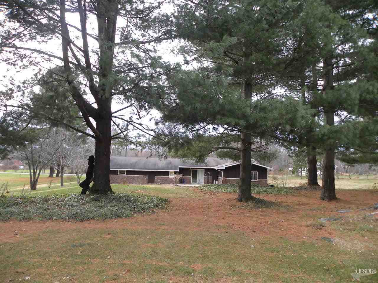 54950 Pear Rd, South Bend, IN 46628 photo 19