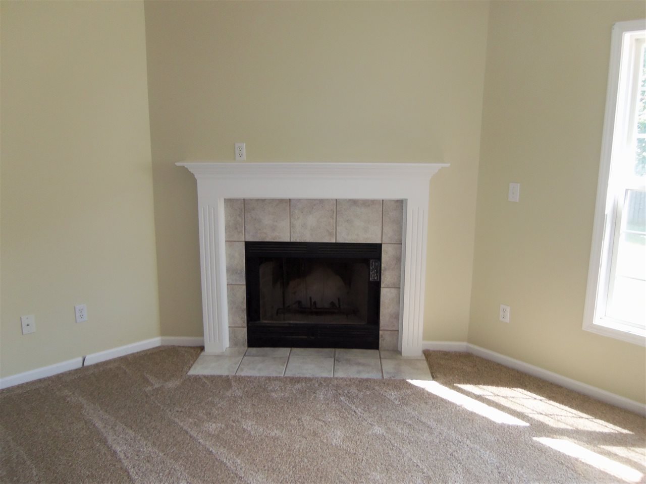 10168 Red Raspberry Ln, Granger, IN 46530 photo 4