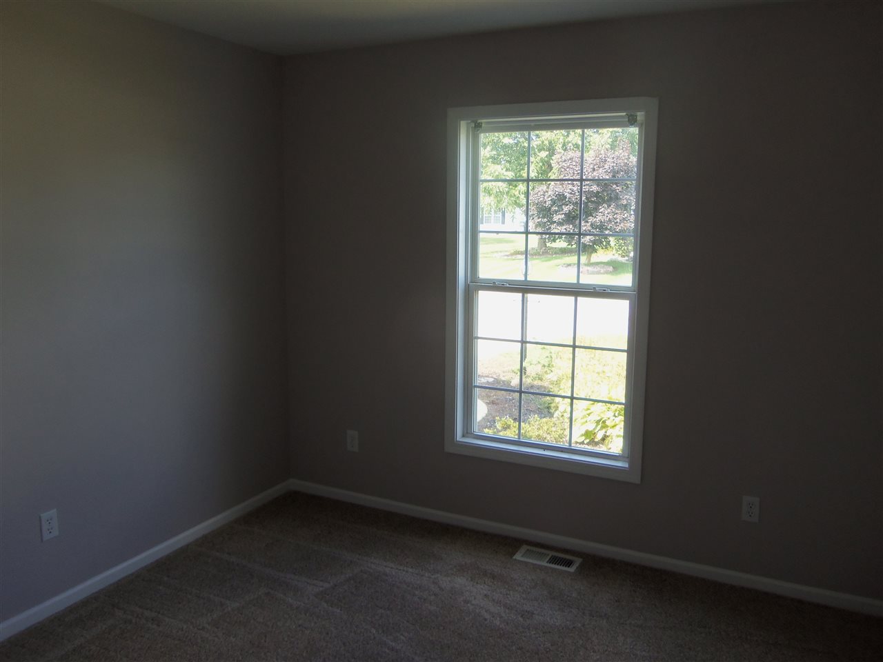10168 Red Raspberry Ln, Granger, IN 46530 photo 18