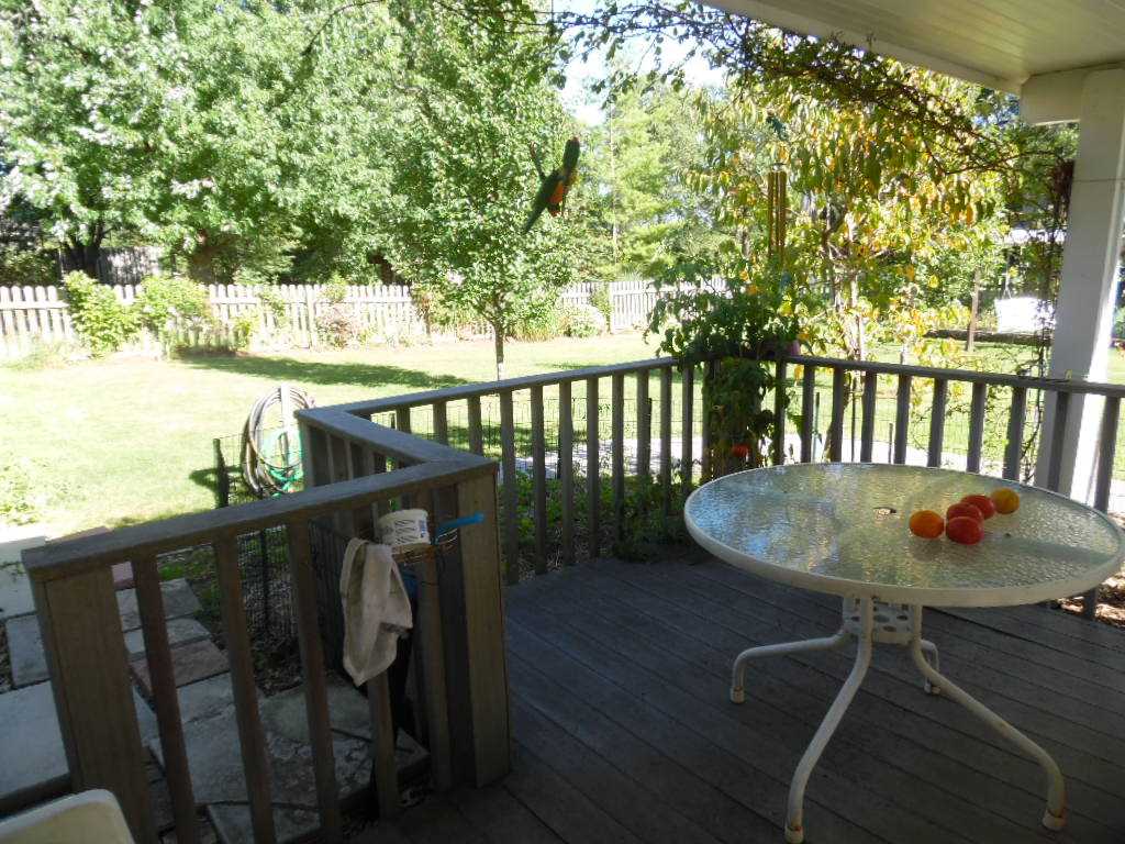 332 Willowbrook Trl, Bluffton, IN 46714 photo 16