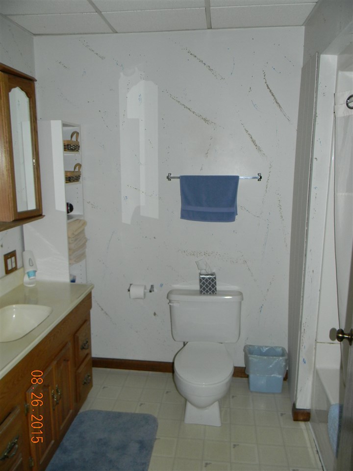 408 E Main St, Albion, IN 46701 photo 10