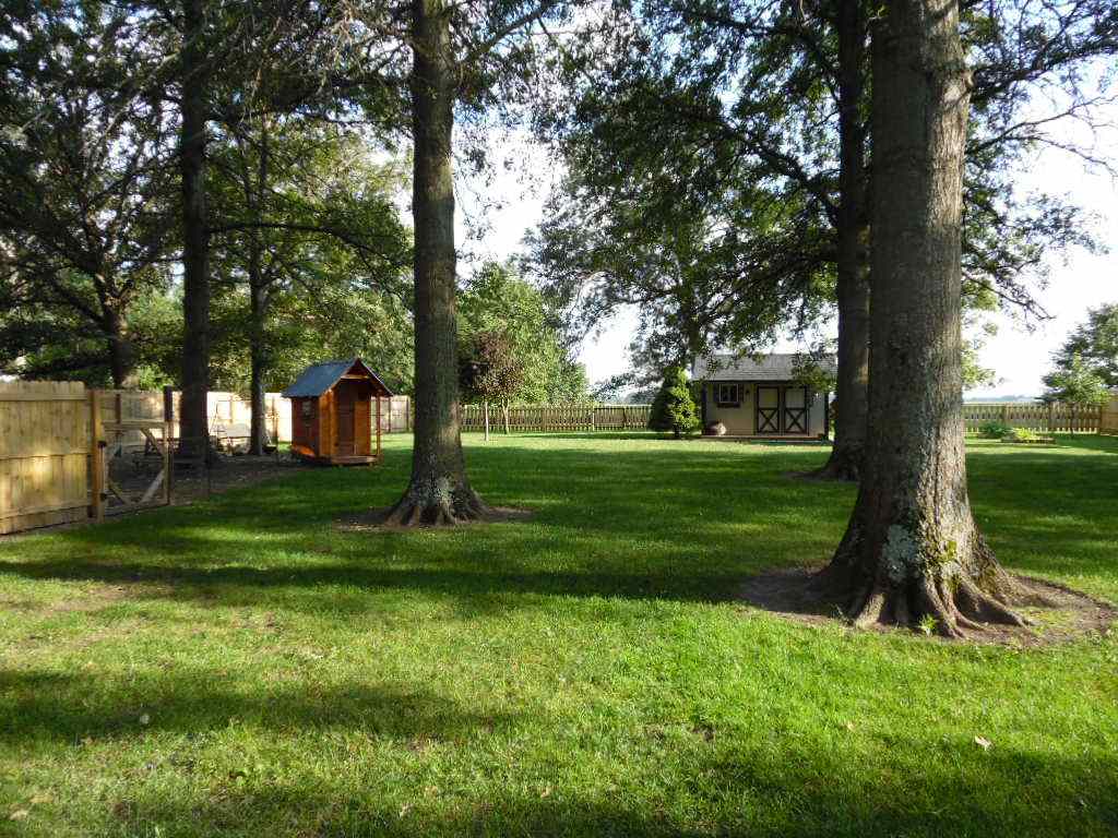 884 W 300 S, Bluffton, IN 46714 photo 7