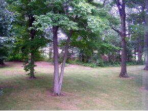 59131 Crumstown Hwy, North Liberty, IN 46554 photo 6