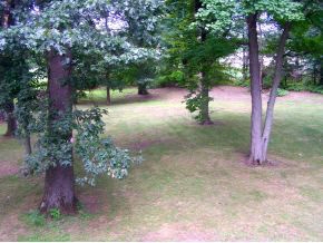 59131 Crumstown Hwy, North Liberty, IN 46554 photo 7