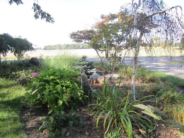 4586 County Road 22, Waterloo, IN 46793 photo 4