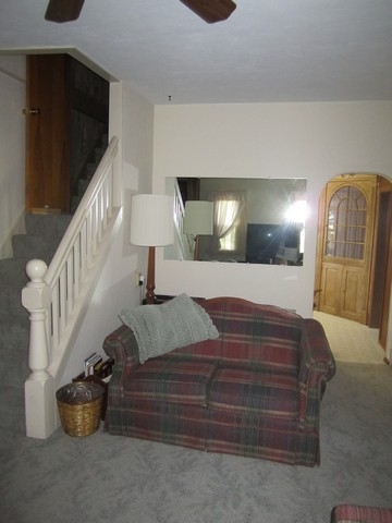 4586 County Road 22, Waterloo, IN 46793 photo 14