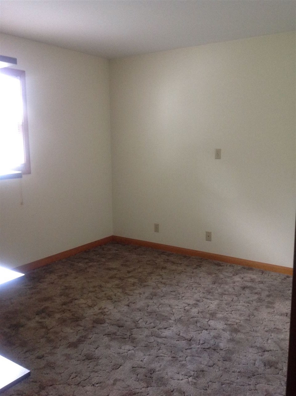 1101 Tulip St, Mitchell, IN 47446 photo 5