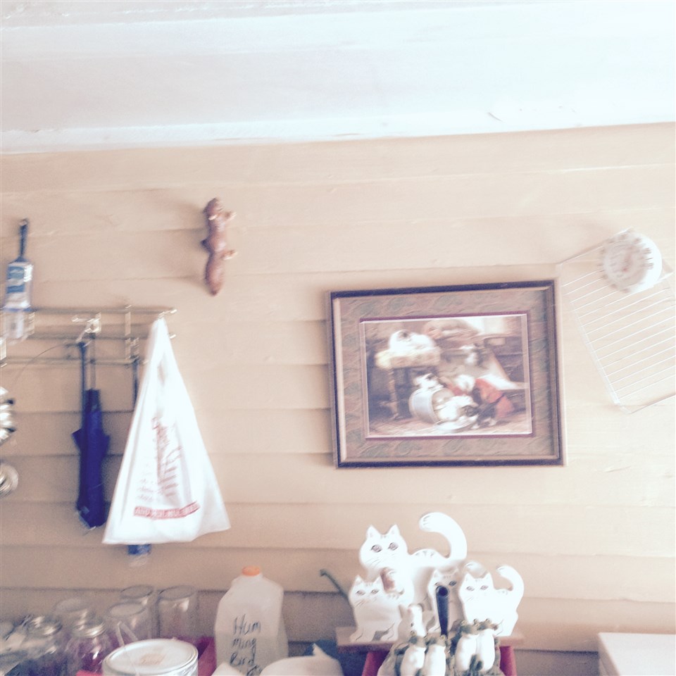 1045 County Road 59, Hamilton, IN 46742 photo 17