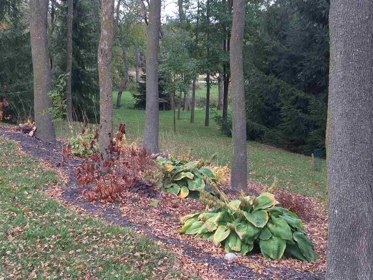 295 S 450 E, Flora, IN 46929 photo 9