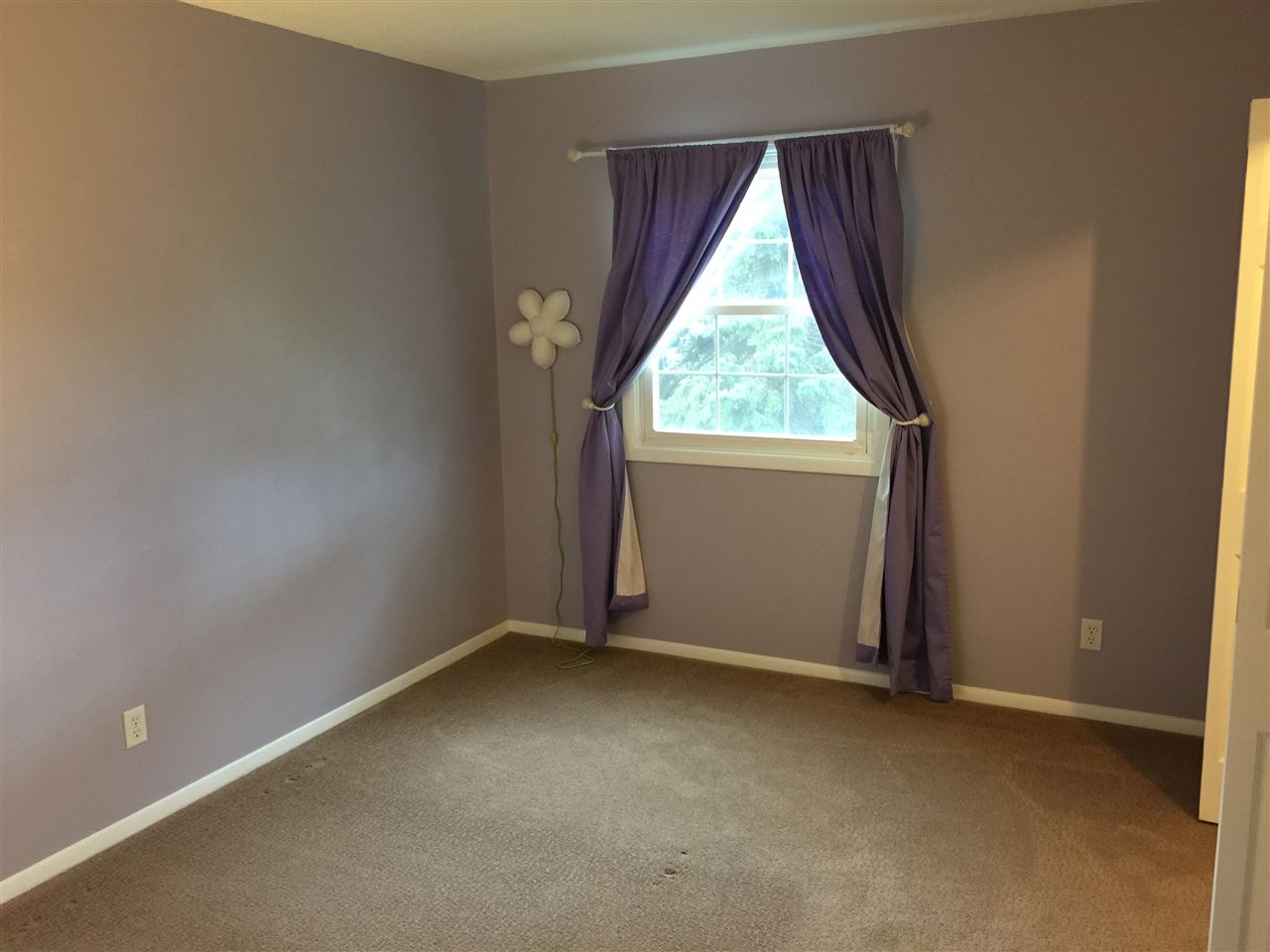 4001 S Franks Ln, Selma, IN 47383 photo 6