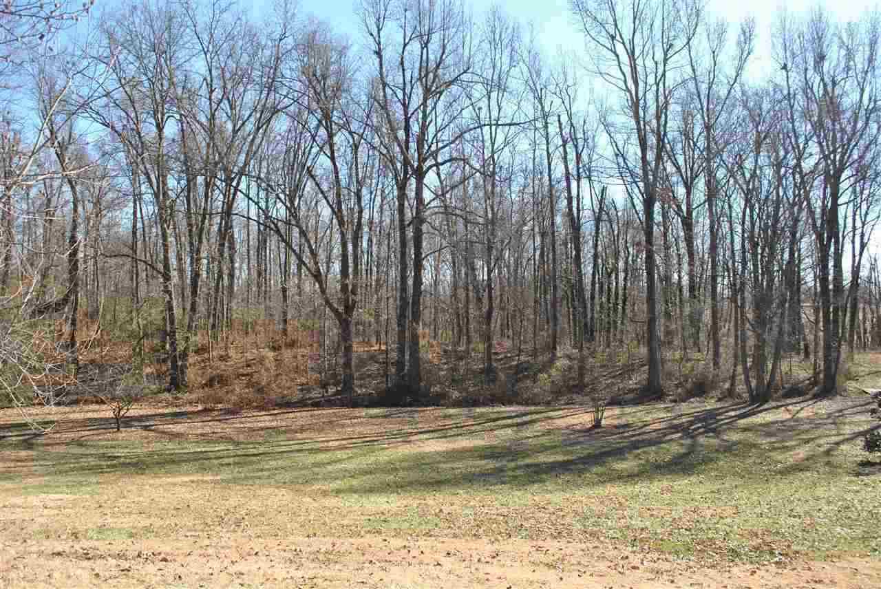 1804 Busby Station Rd, Robards, KY 42452 photo 10