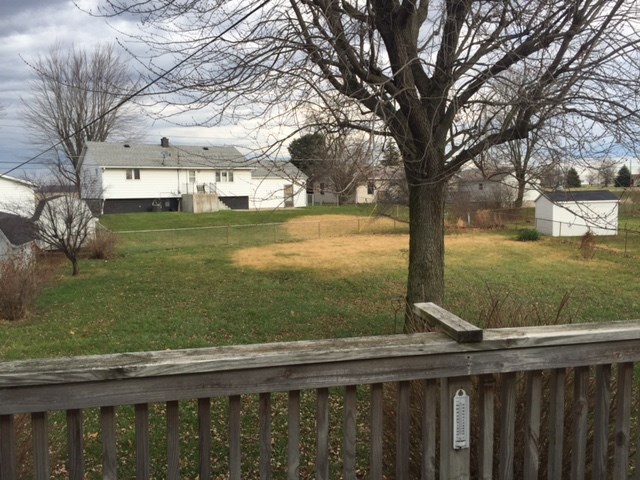 1604 Primrose Ln, Kokomo, IN 46901 photo 15
