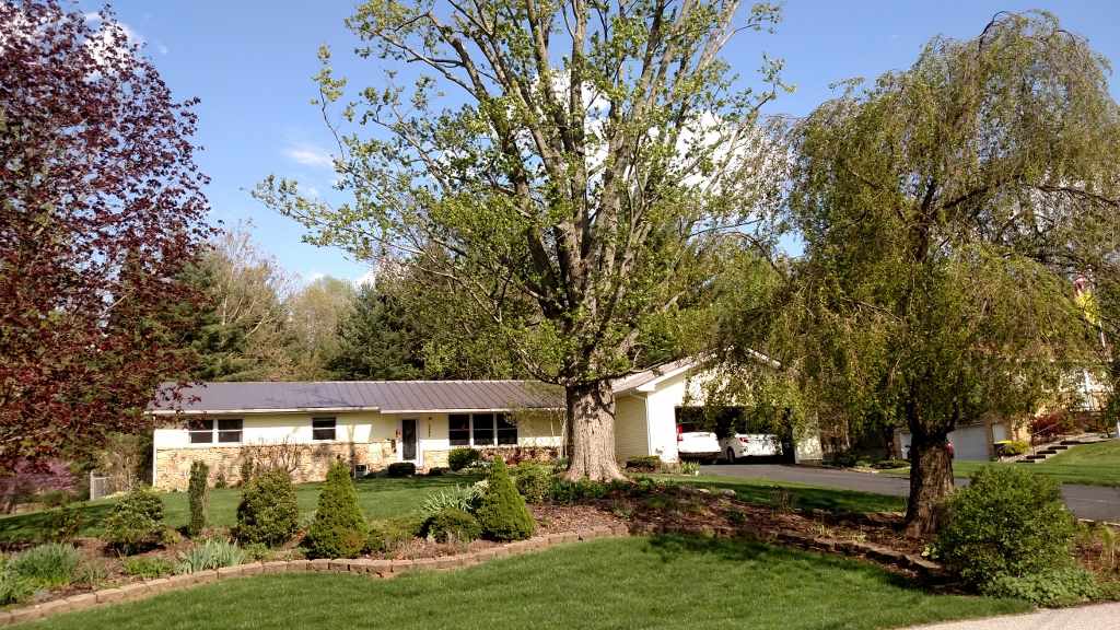 3695 E Robin Rd, Bloomington, IN 47401 photo 3