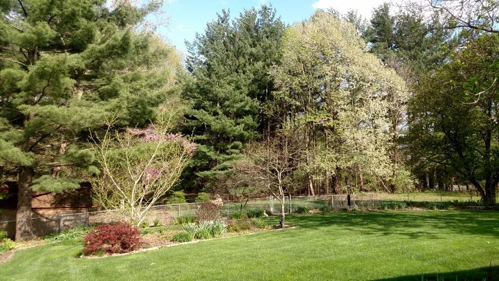 3695 E Robin Rd, Bloomington, IN 47401 photo 8