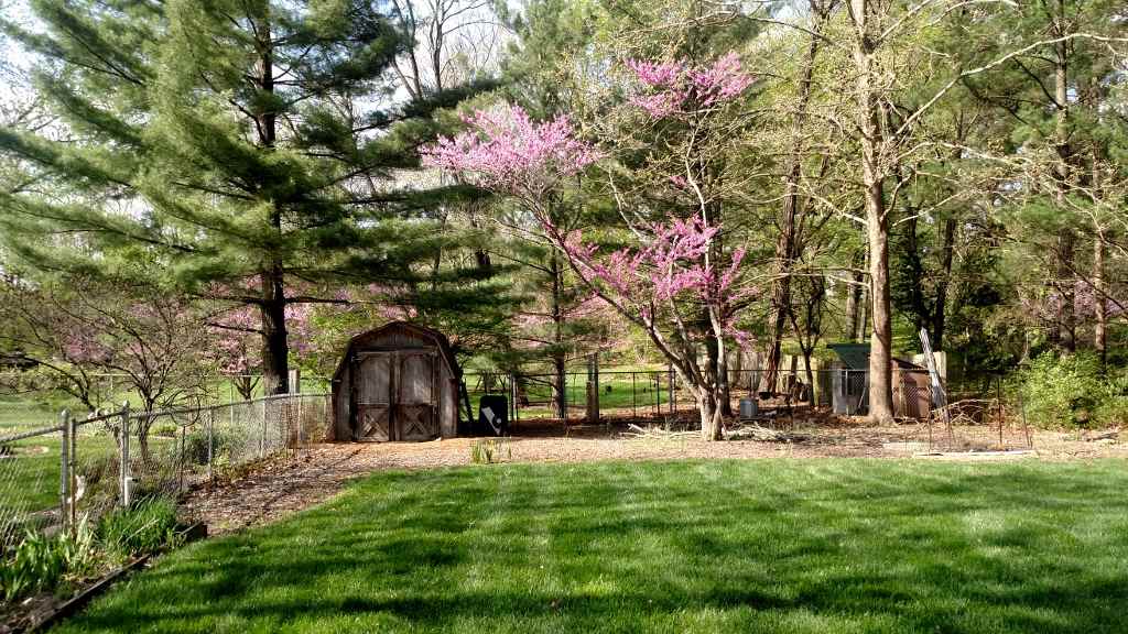 3695 E Robin Rd, Bloomington, IN 47401 photo 12