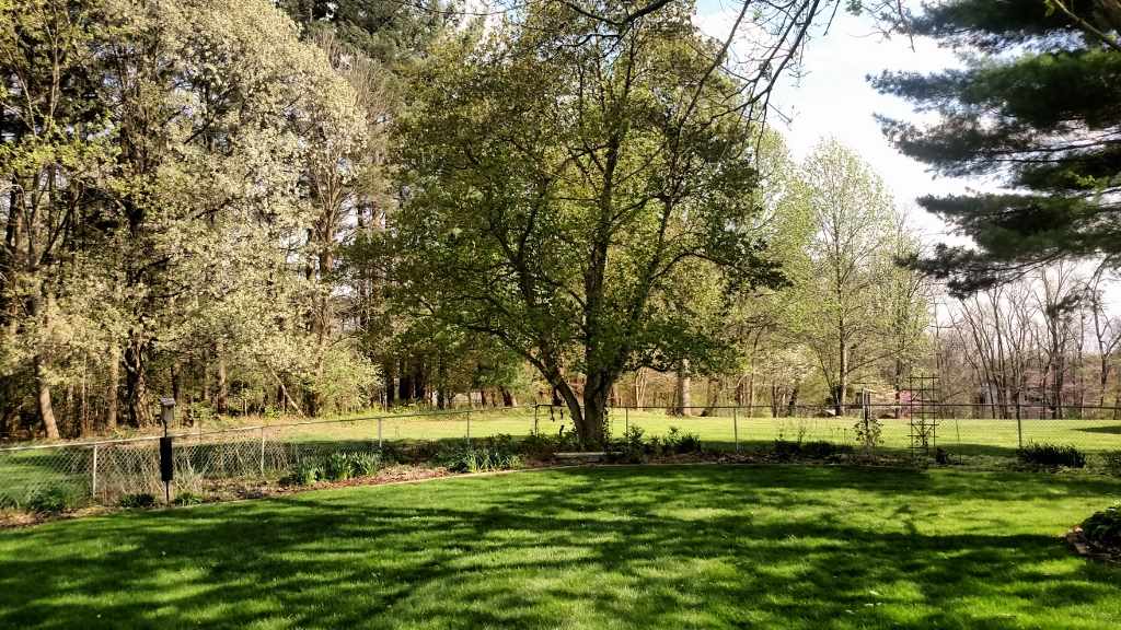 3695 E Robin Rd, Bloomington, IN 47401 photo 10