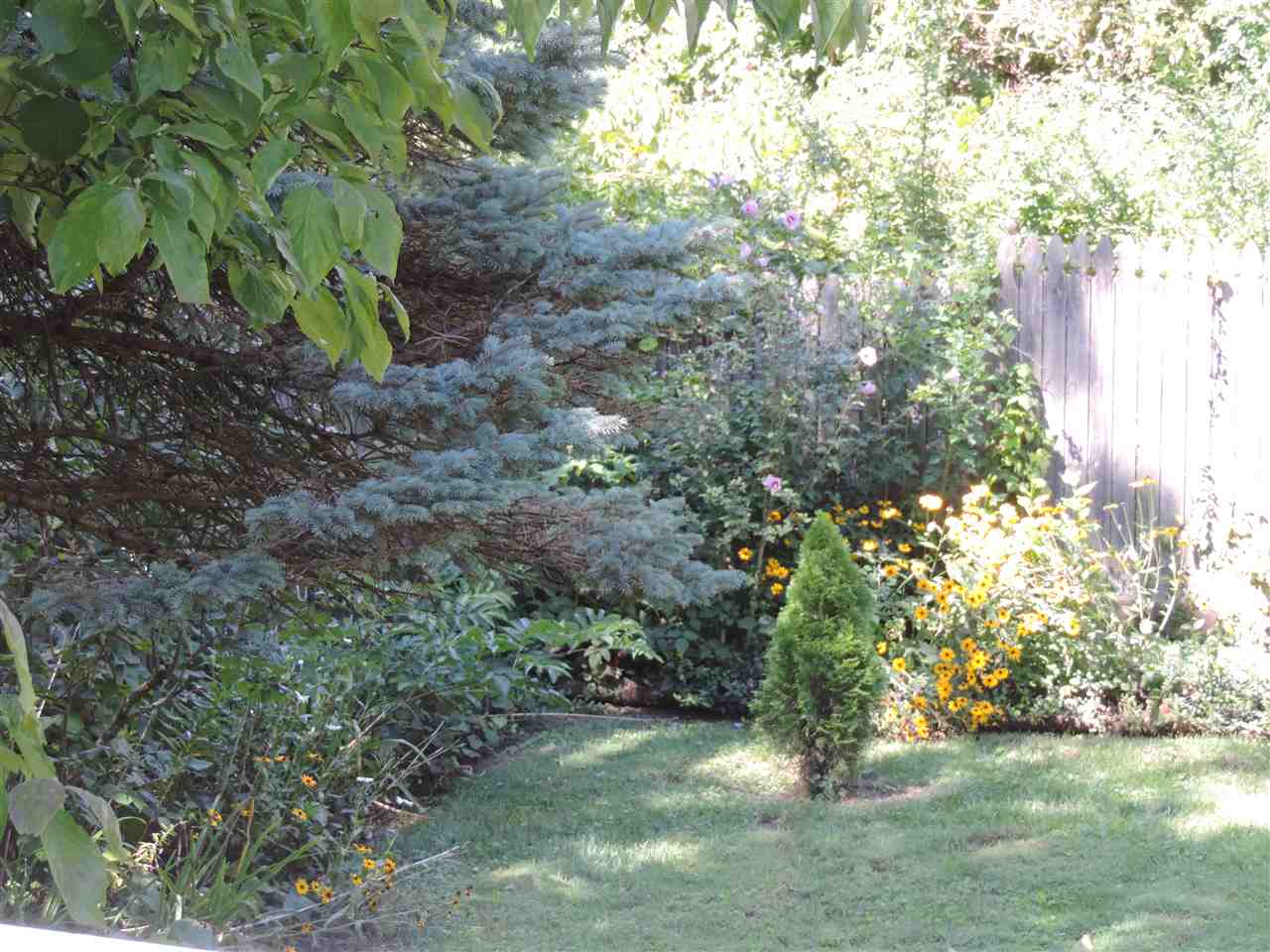 2005 E Atwater Ave, Bloomington, IN 47401 photo 36
