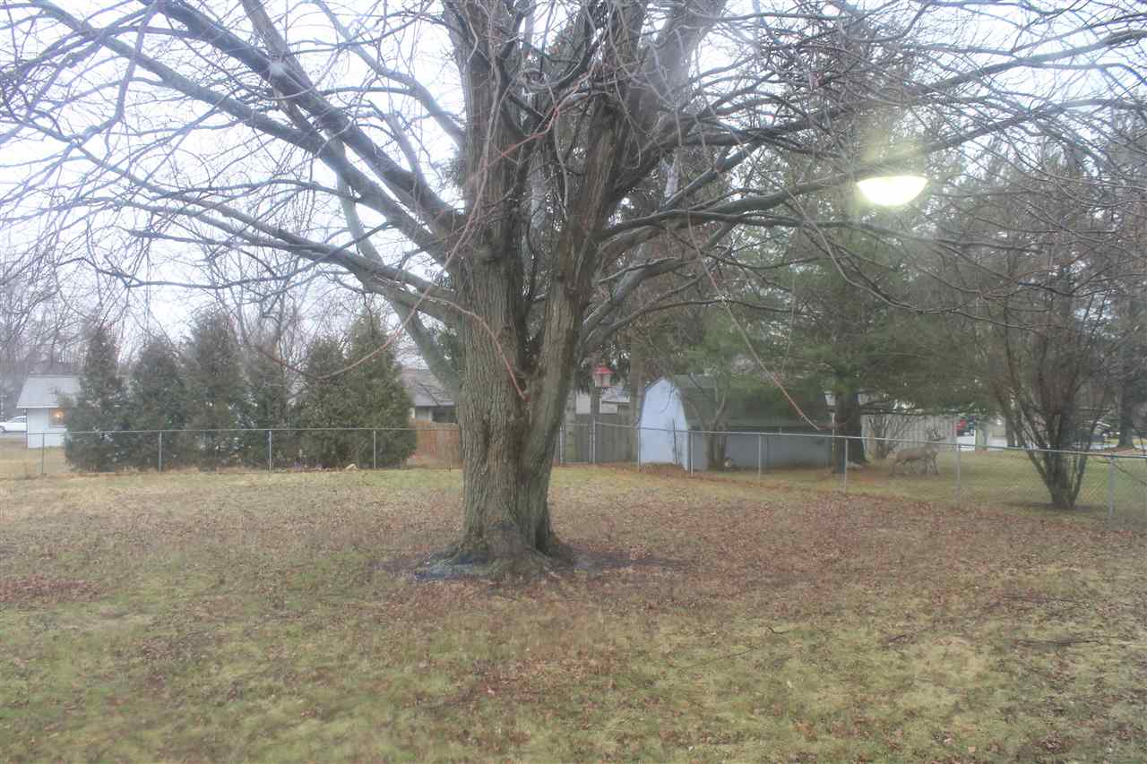 308 Ley St, Avilla, IN 46710 photo 10
