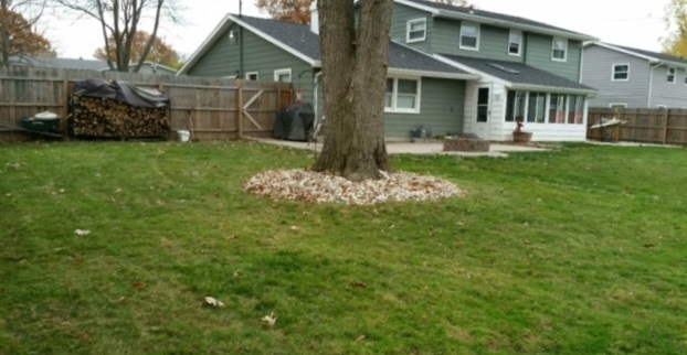 5615 Dartmouth Dr, Fort Wayne, IN 46825 photo 27