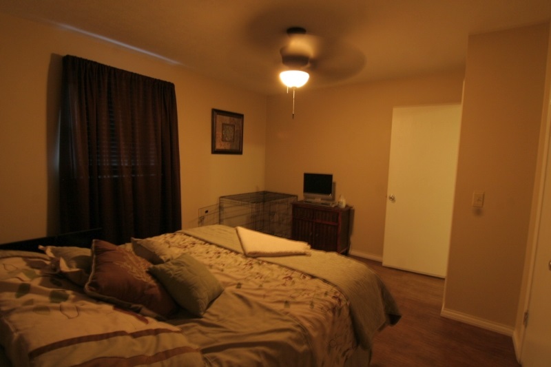 4146 Baden Strasse, Jasper, IN 47546 photo 10
