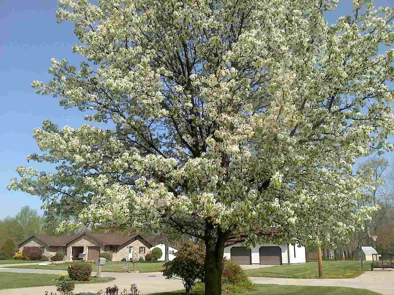 10 Cottonwood Ct, Washington, IN 47501 photo 33