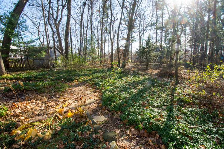 10560 Red Pine Dr, Granger, IN 46530 photo 33