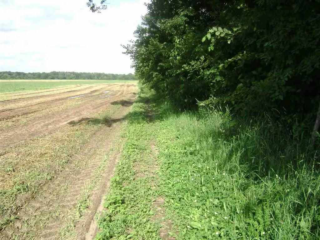 20981 Cr 2, Bristol, IN 46507 photo 3