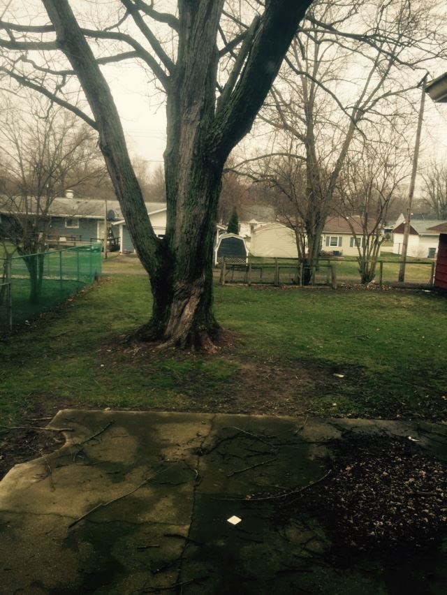 466 E Marion, Nappanee, IN 46550 photo 4