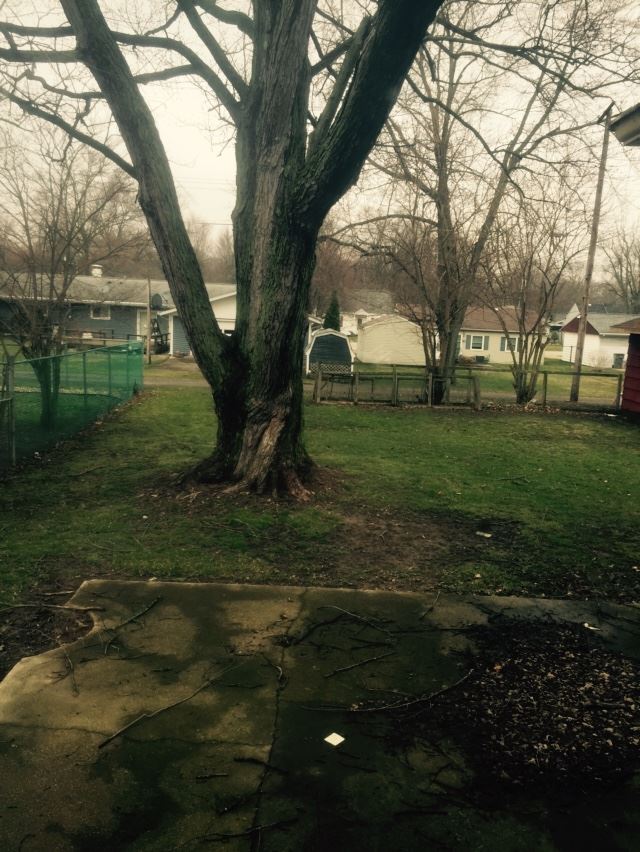466 E Marion, Nappanee, IN 46550 photo 5