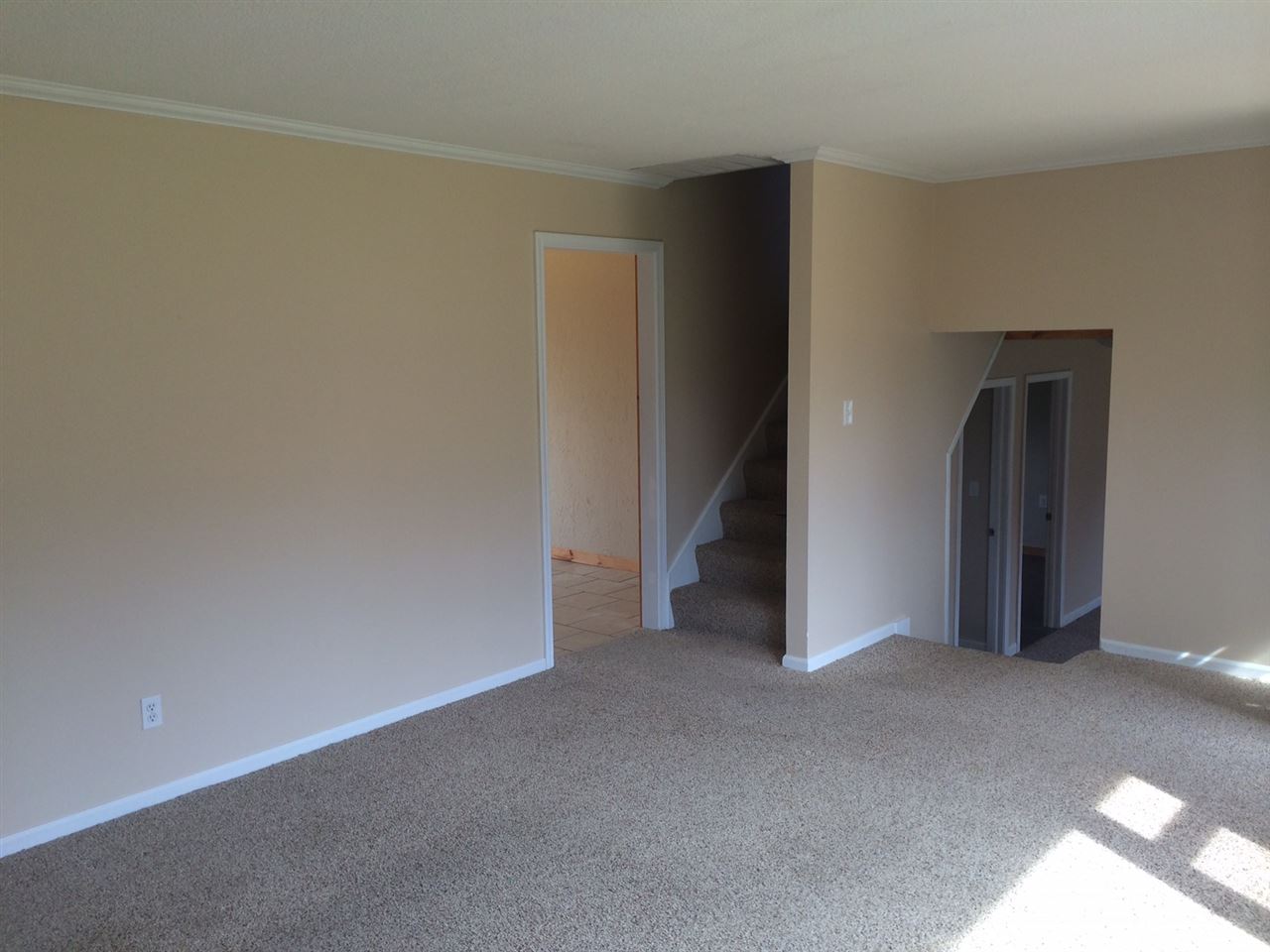 1558 Rabbitsville Rd, Mitchell, IN 47446 photo 4